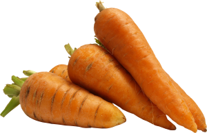 Carrot PNG image-4978